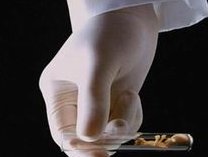 试管移植后如何保护胎儿成功率高？解释试管婴儿的误解