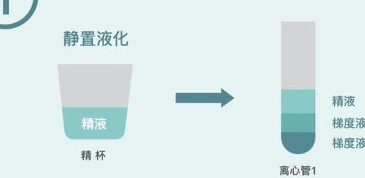 深圳做试管的医院都靠谱是真的吗？这几家口碑包好的