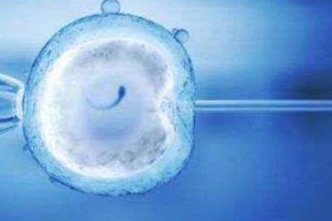 如何让卵泡长得快又好